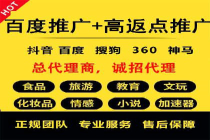 百度竞价代理技巧：经典成功案例解析